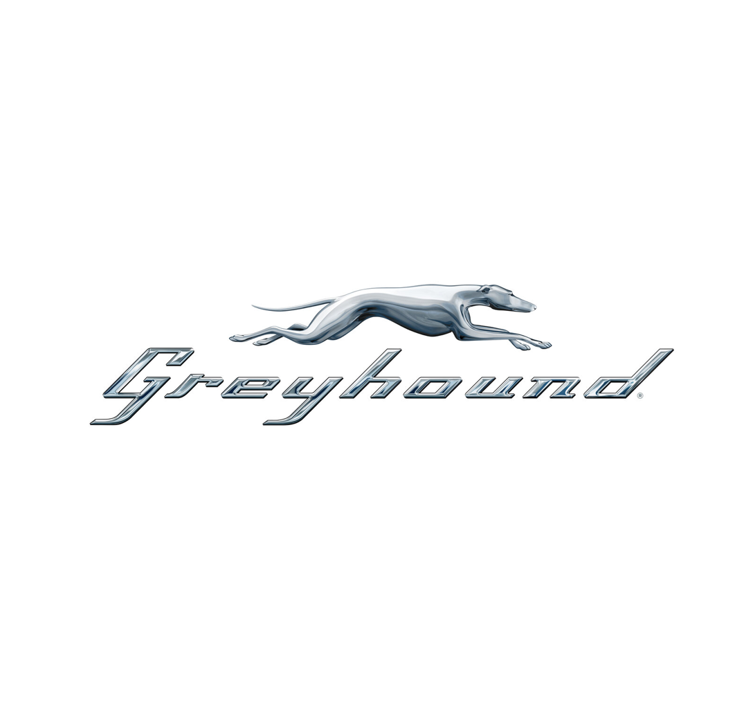 Greyhound